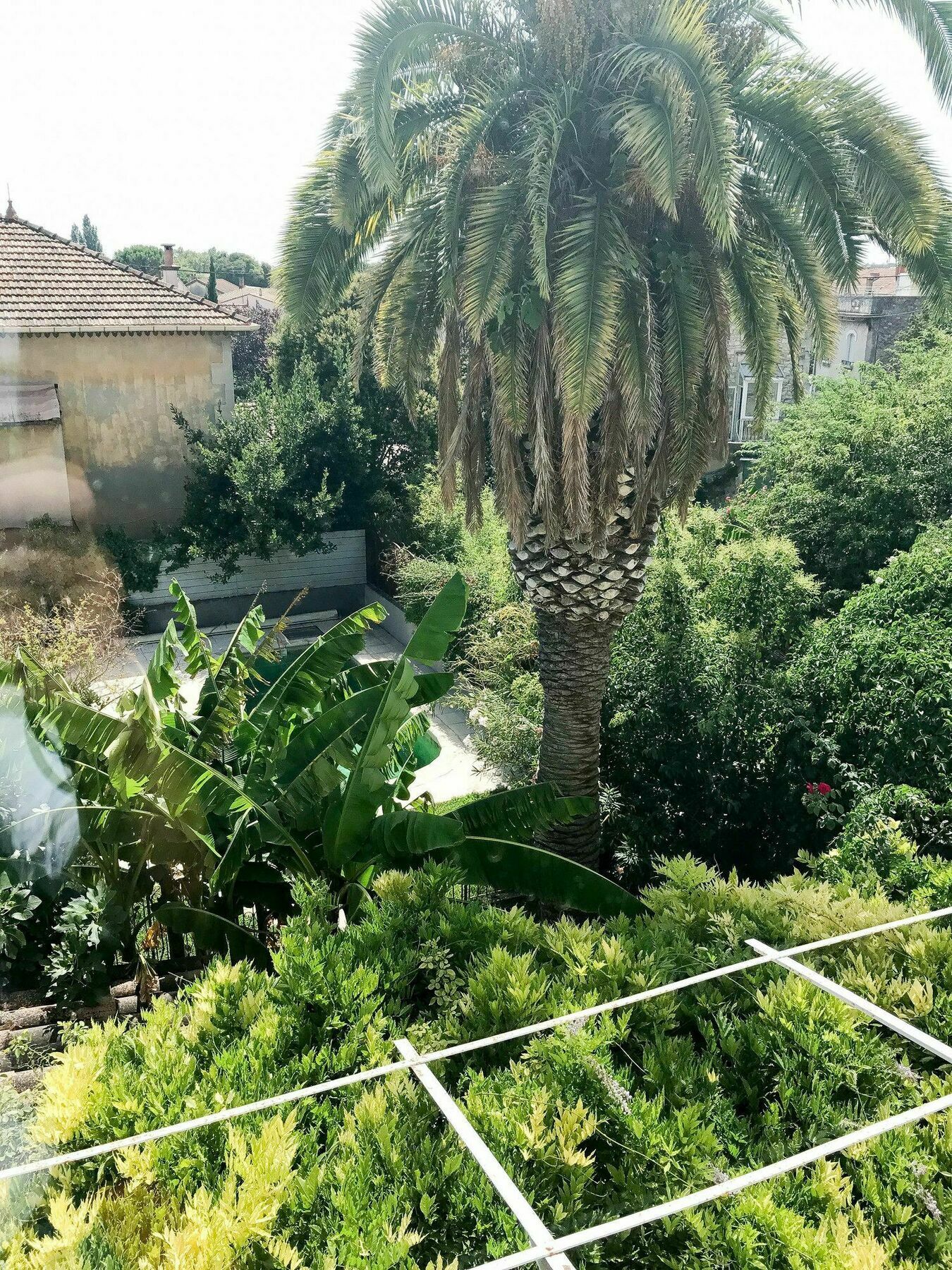 Palmeira, Piscine - Parking - Clim Arles Dış mekan fotoğraf